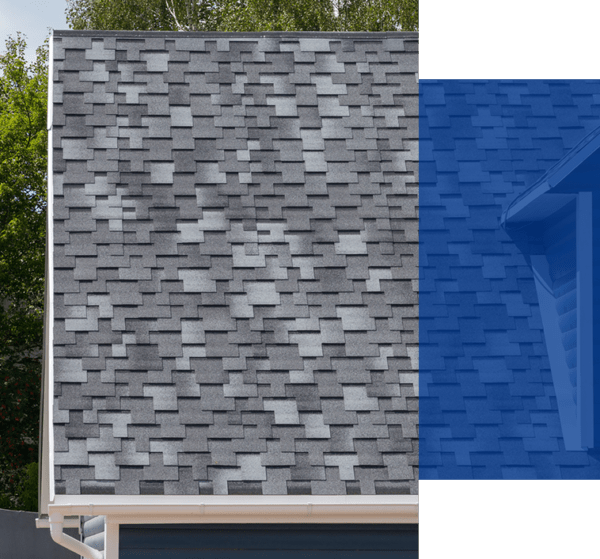 Asphalt Shingle Replacement AmeriPro Roofing