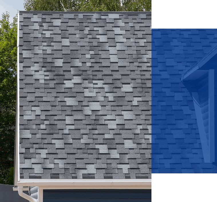 Asphalt roof shingles