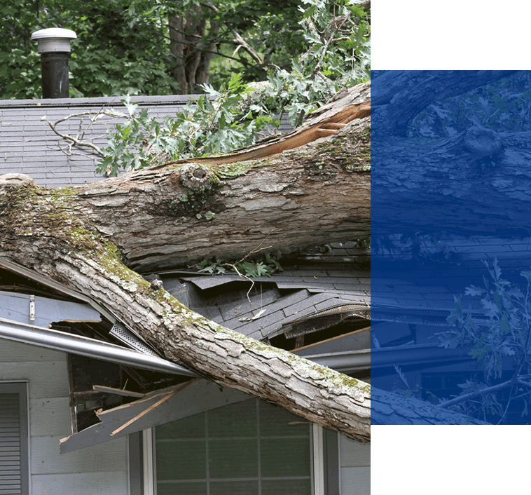 A falling tree causes there to be an emergency roof repair situation