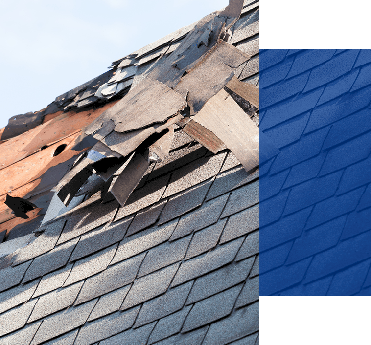 Wind Damaged Roof