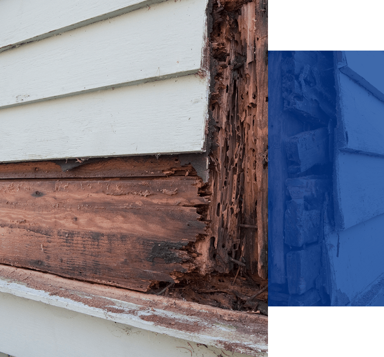 Wood rotting on the siding of the home