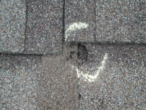 roof hail damage