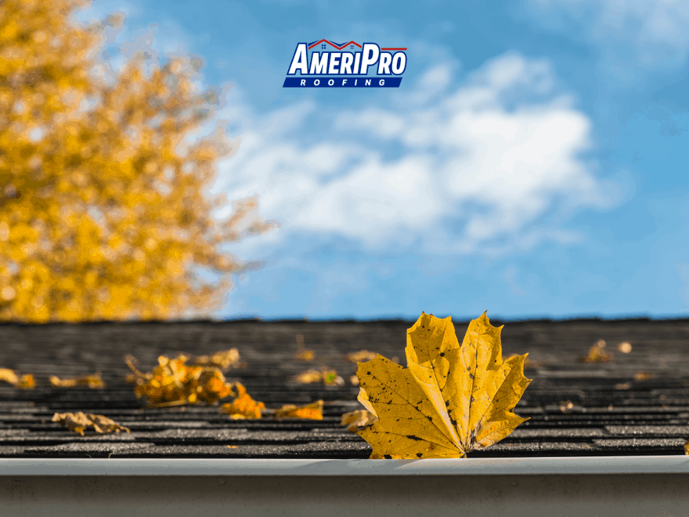 close up of roof with autumn leaves