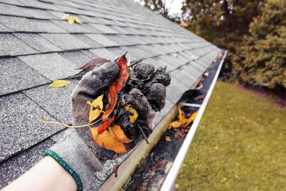 common roofing problems