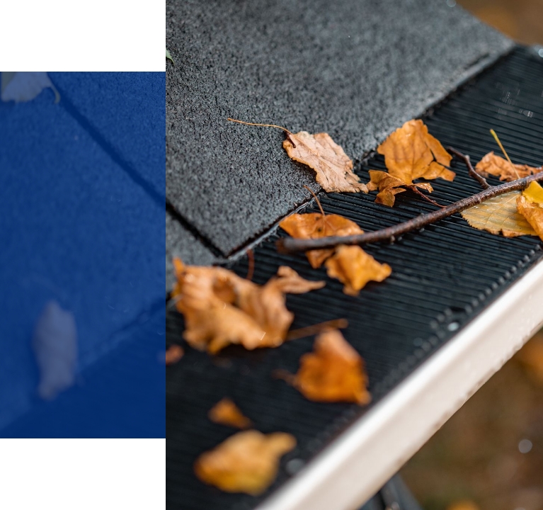 Leaves laying on a gutter guard