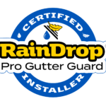 RainDrop Logo